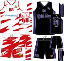 Quick Lions Official Men's game wear