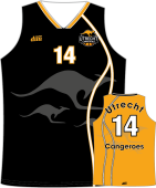 Heren Reversible wedstrijdshirt