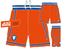 Vets Official Game shorts Orange